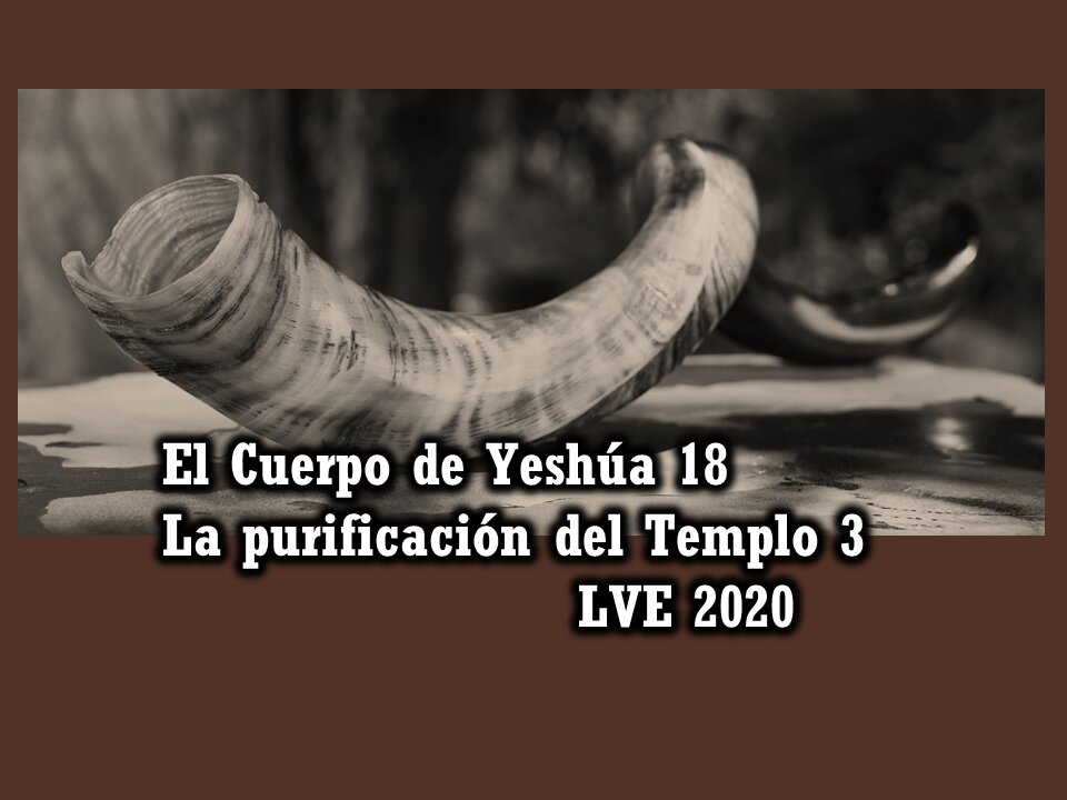 El Cuerpo de Yeshúa 18 - La purificación del Templo 3