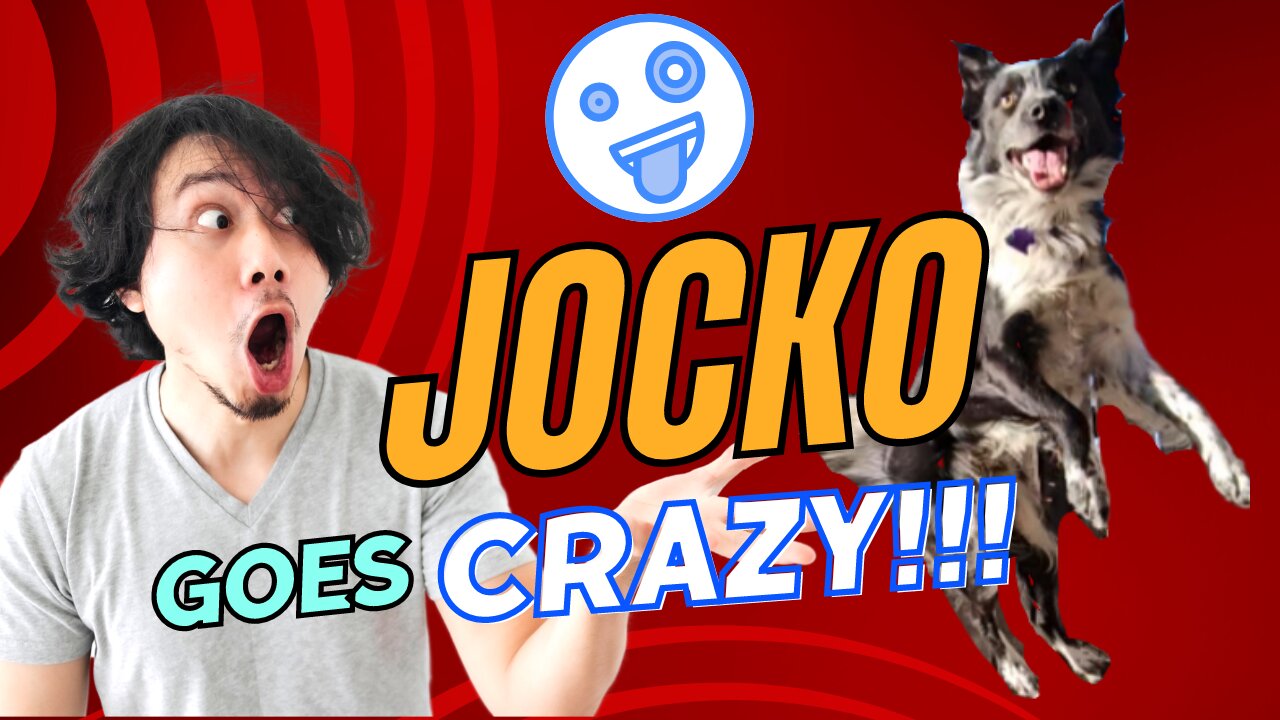 Jocko Goes Crazy- Speed Laps