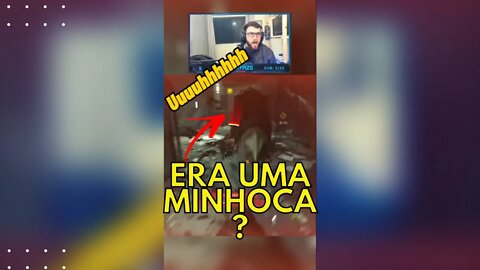 Tinha uma minhoca aqui mas não era uma minhoca !?!?!