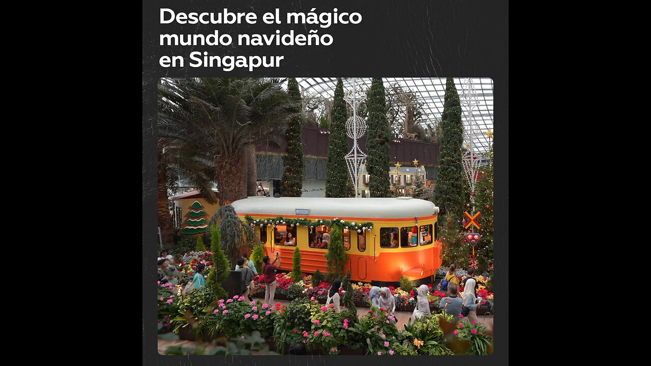 Experiencia festiva en Jardines de la Bahía: encanto ártico en Singapur