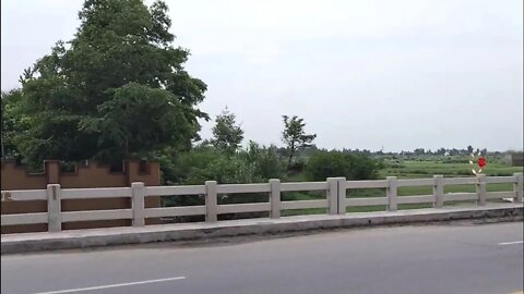 Rural Punjab, Greenery, Beauty, Roadside