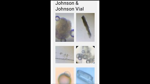 WHAT IS IN THESE 'VACCINES' 🤔 LETS TAKE A LOOK SHALL WE!