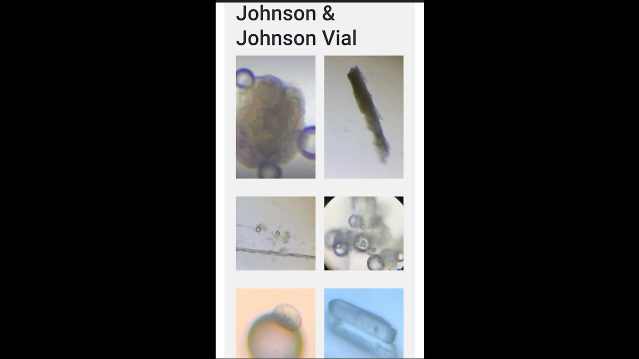 WHAT IS IN THESE 'VACCINES' 🤔 LETS TAKE A LOOK SHALL WE!