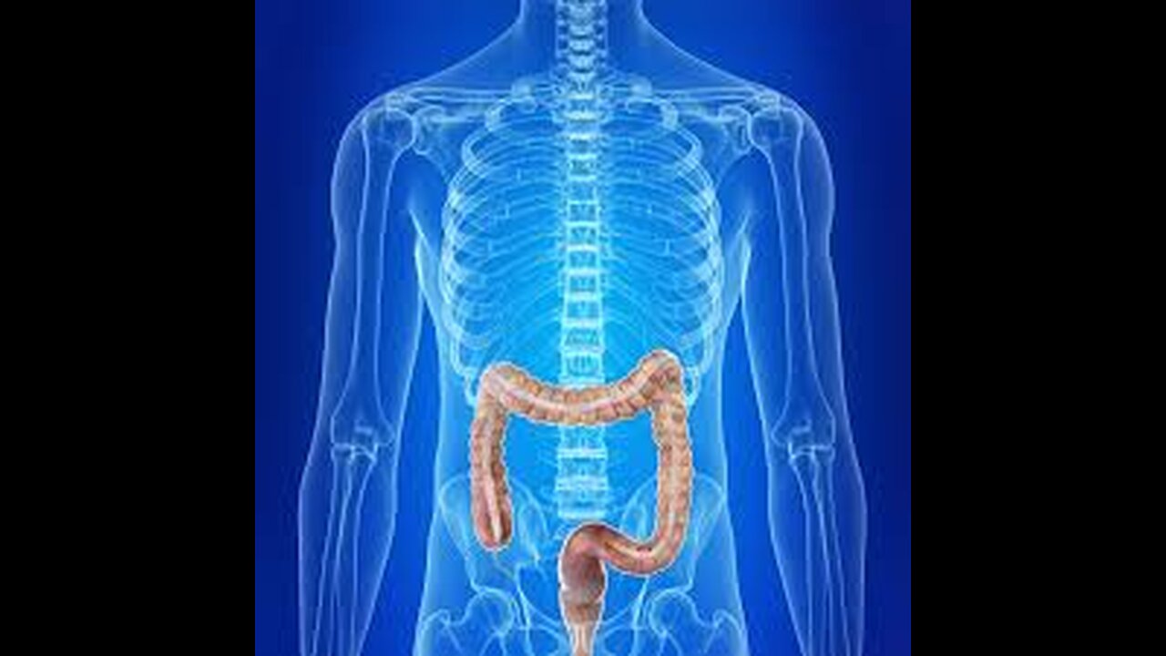 Why the Colon Is the Center of the Immune System