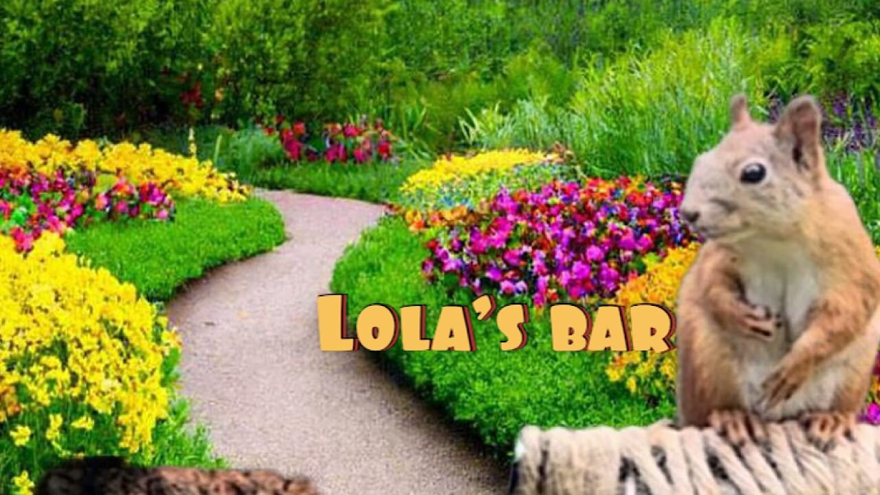 Lola’bar . Relax video.