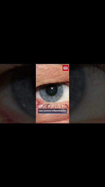 HEALTH BENEFITS OF BAY LEAVES IN YOUR DIET #shorts