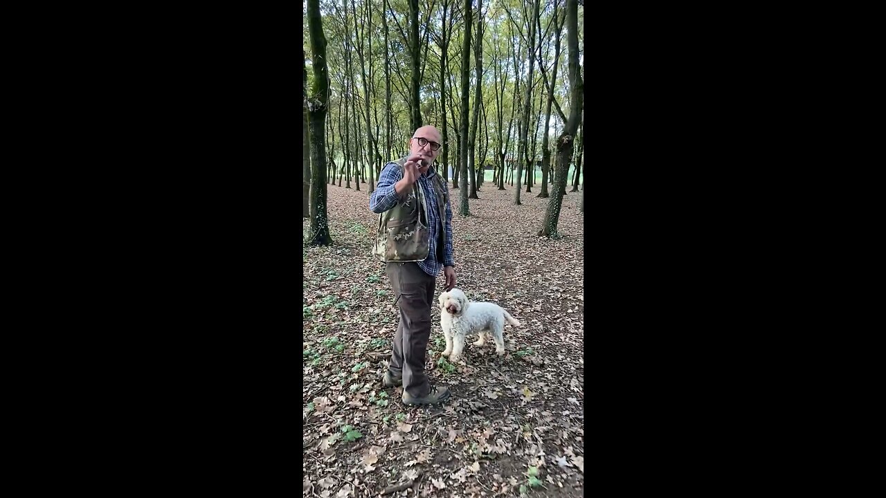 Dog finding a truffle in Italy