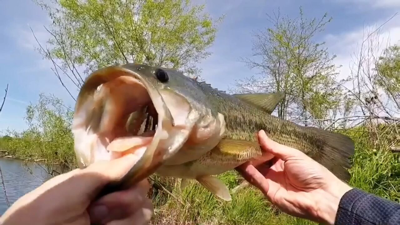 Bass Fishing | Catch of the Day 05/07/2023