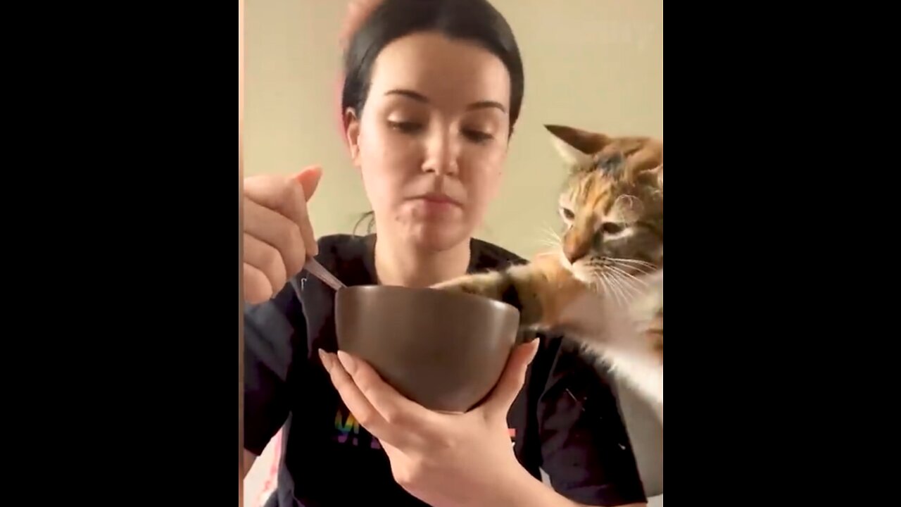 having breakfast with the kitty