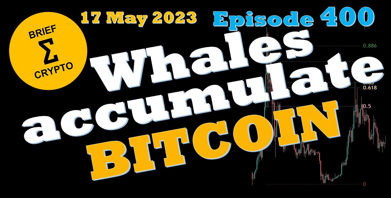 BriefCrypto - WHALES ACCUMULATE BITCOIN!! Follow the Whales