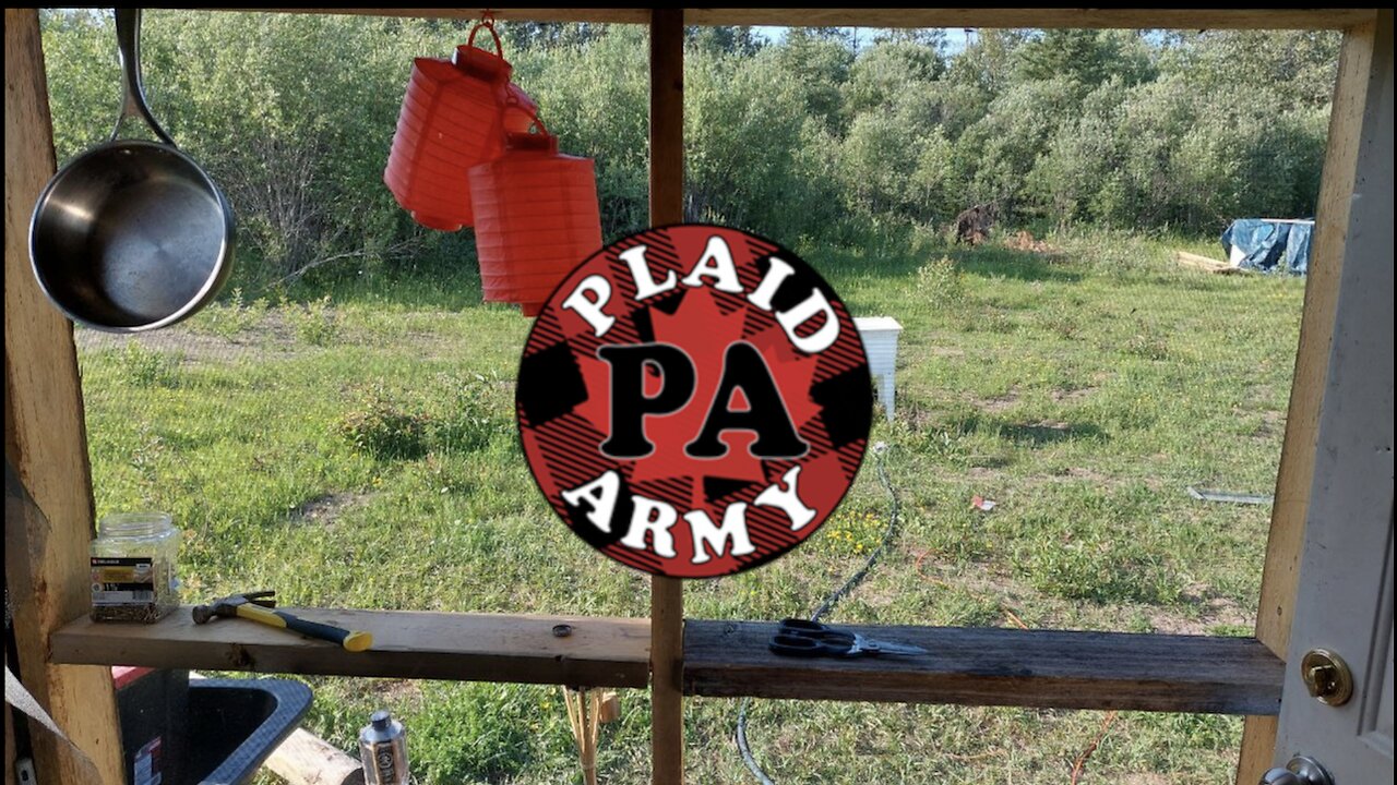 PLAID ARMY