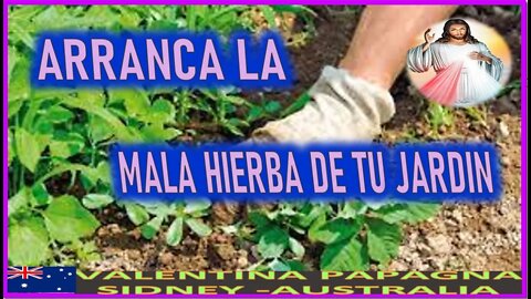 ARRANCA LA MALA HIERBA DE TU JARDIN - MENSAJE DE JESUCRISTO A VALENTINA PAPAGNA