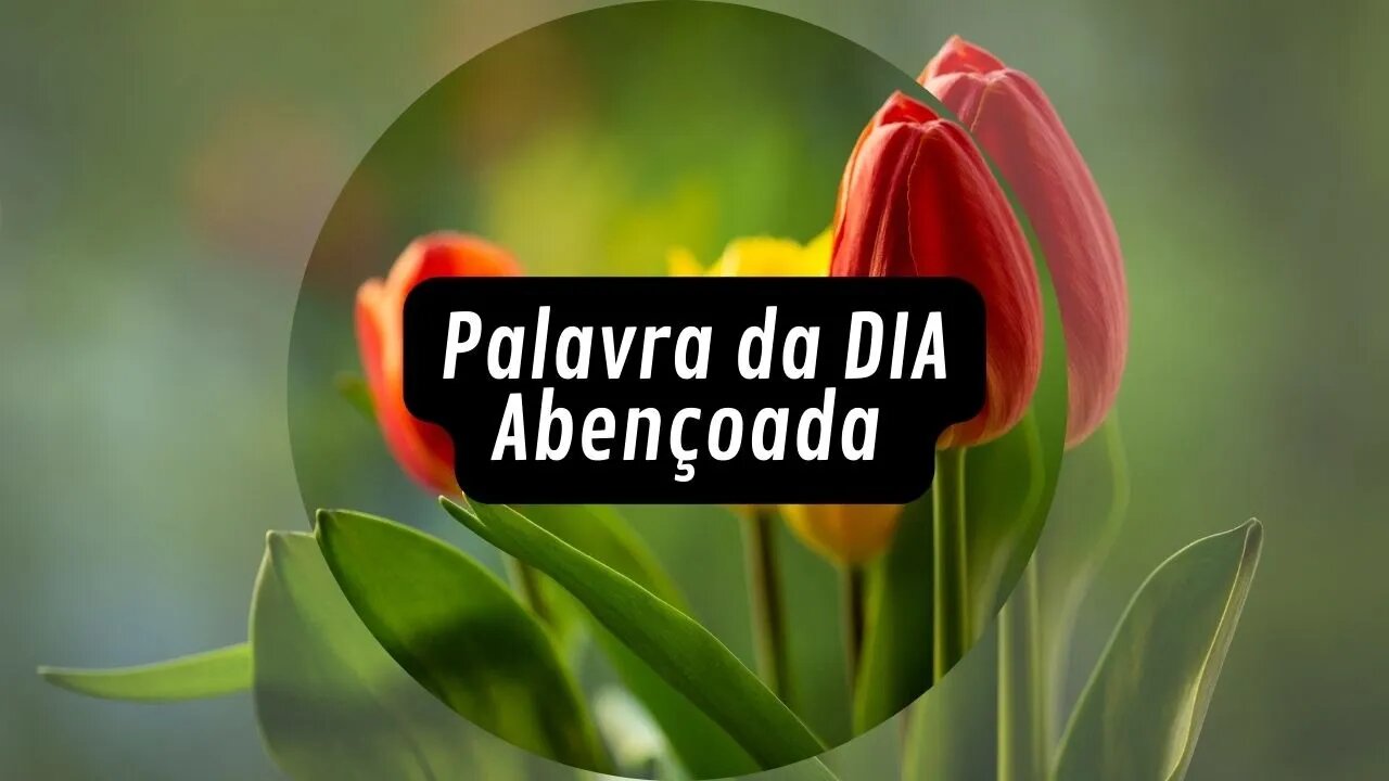 A fé que agrada a Deus — Palavra da Manhã Abençoada 28/05