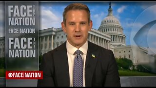 Adam Kinzinger Claims Trump Didn't Request National Guard For Jan 6