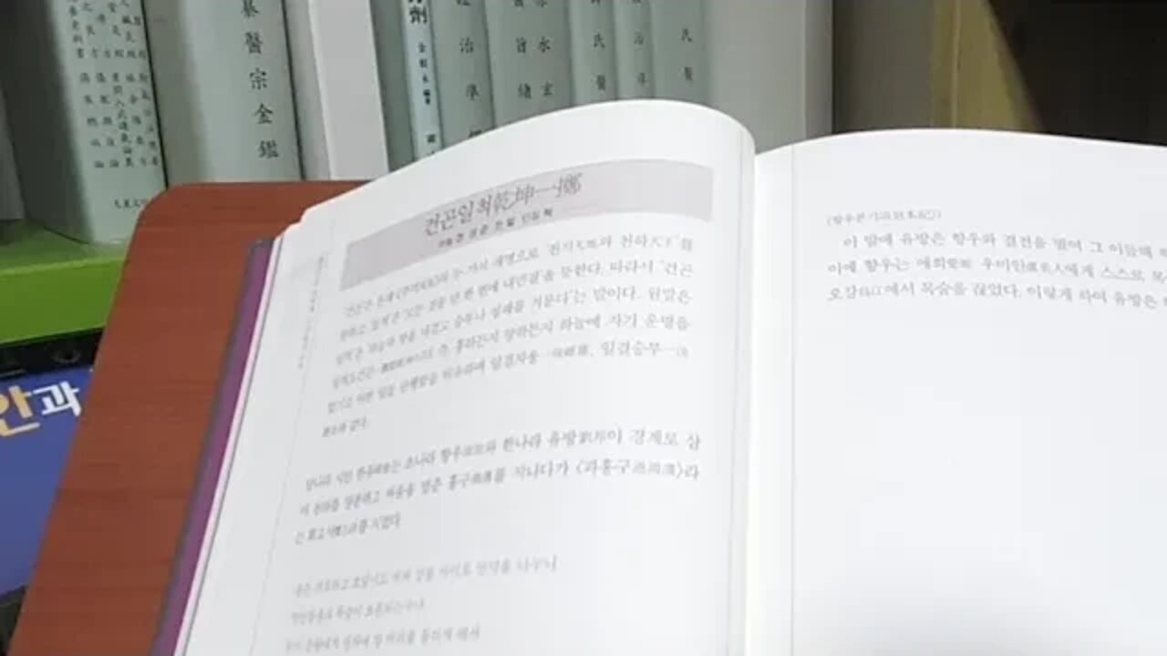 고사성어사전 김원중 휴머니스트 건곤일척 사자성어