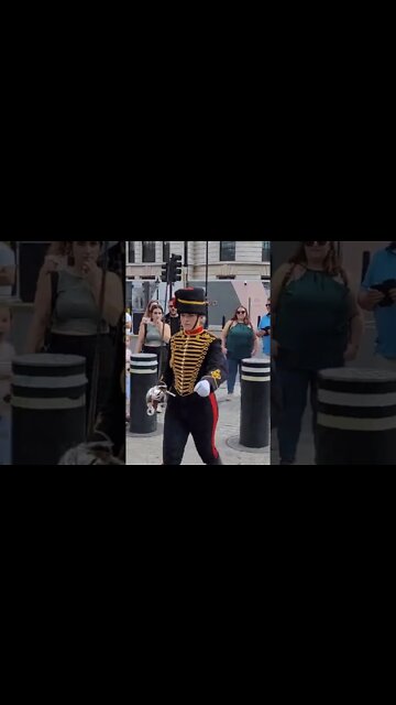 Guard shouts at tourist to make way #horseguardsparade