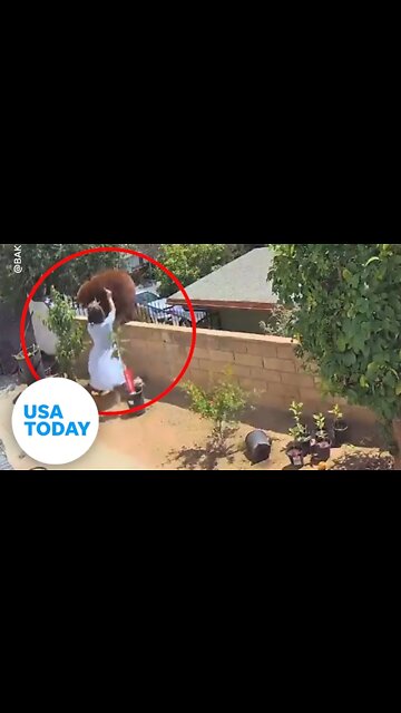 #Surveillance footage shows two #bears fighting inside carport of #home in South #LakeTahoe,