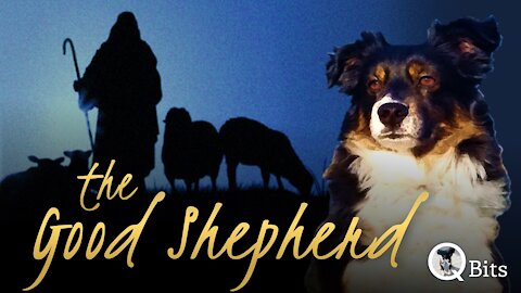 #489 // THE GOOD SHEPHERD - Live