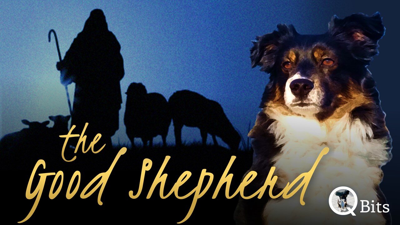 #489 // THE GOOD SHEPHERD - Live