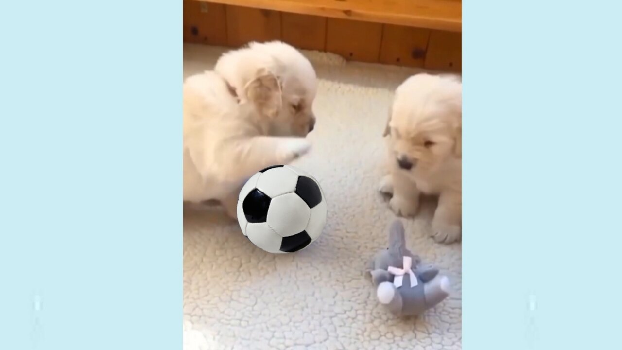 They both playing football like Ronaldo