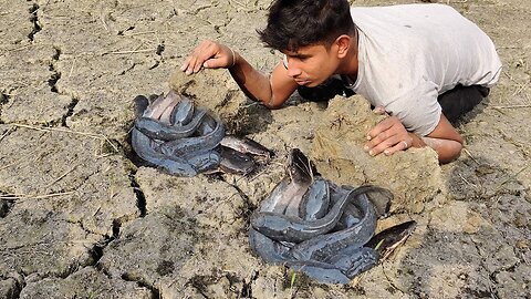 Unique Fishing Catching 2021 | In Dry Season Catching Catfish From Underground Secret Hole