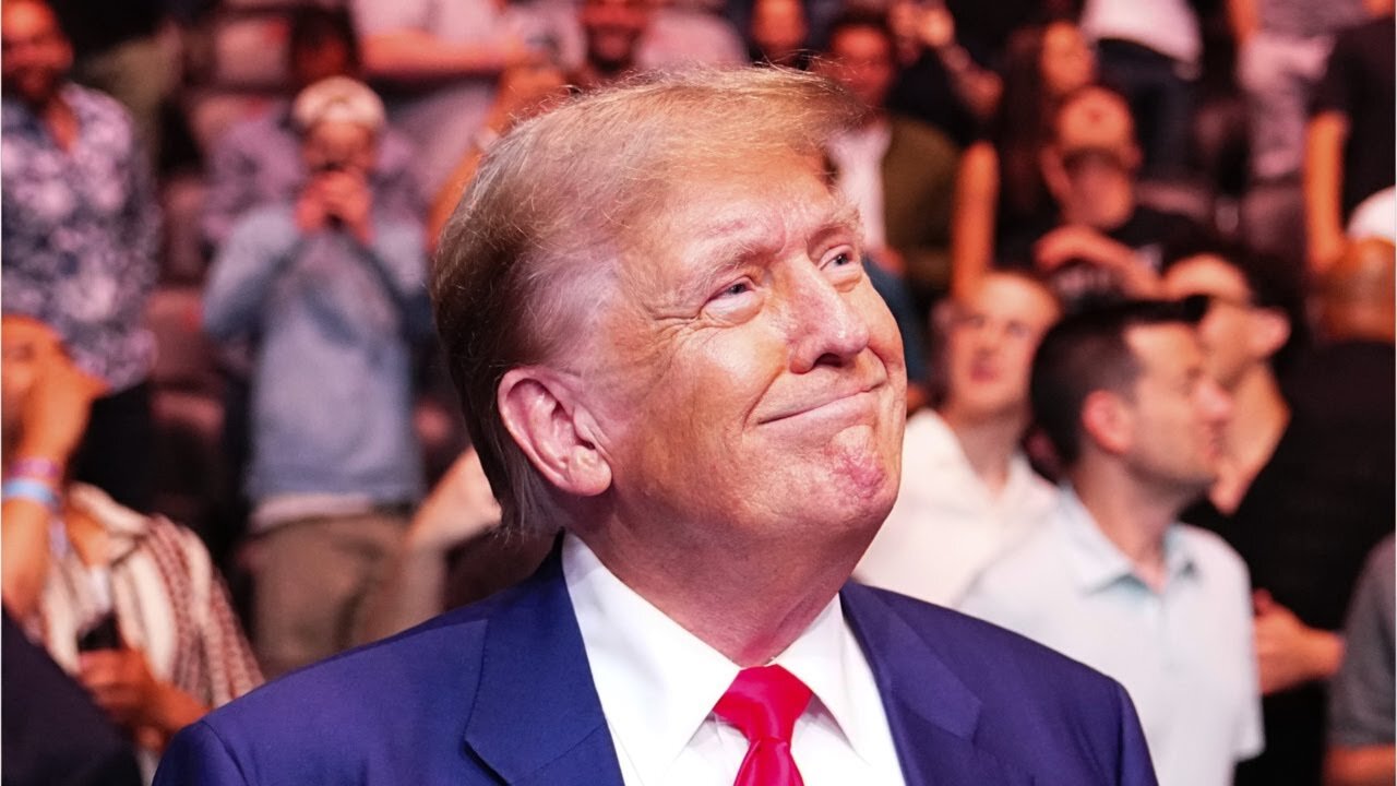 Trump annihilates Biden campaign on TikTok with single video