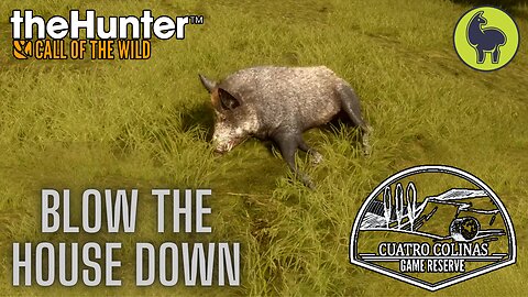 Blow the House Down, Cuatro Colinas | theHunter: Call of the Wild (PS5 4K)