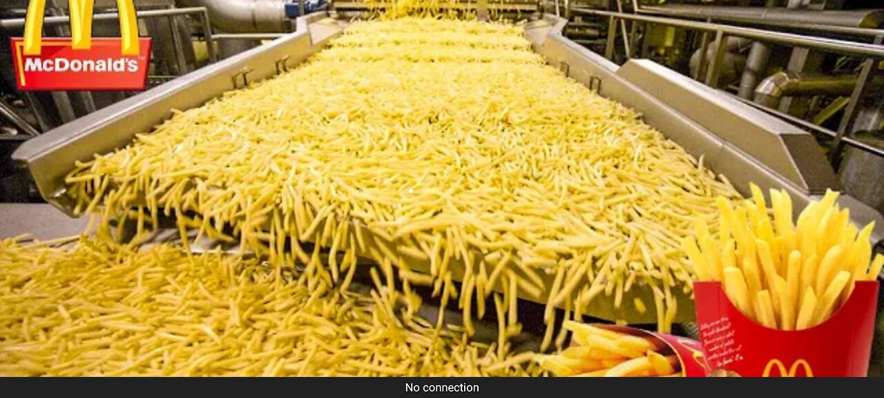 How Are McDonald's French Fries Made - Food Factory