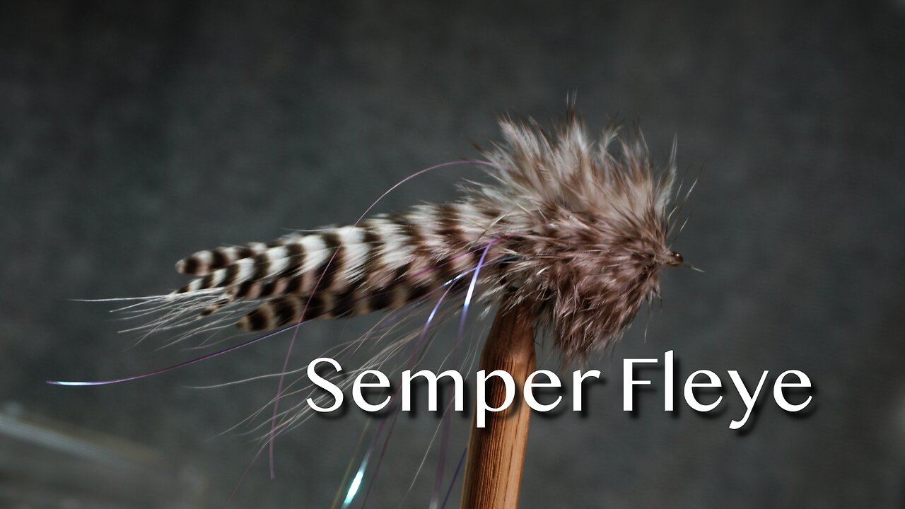 Semper Fleye (Rob Popovic)