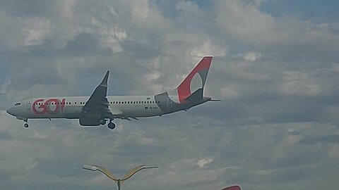 Boeing 737 MAX 8 PR-XMD coming from Guarulhos to Manaus