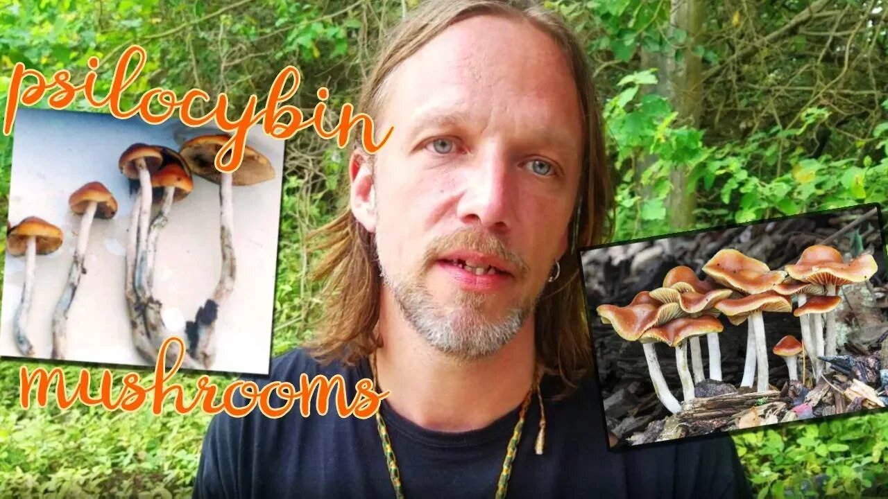 Psilocybin Mushrooms and Higher Consciousness