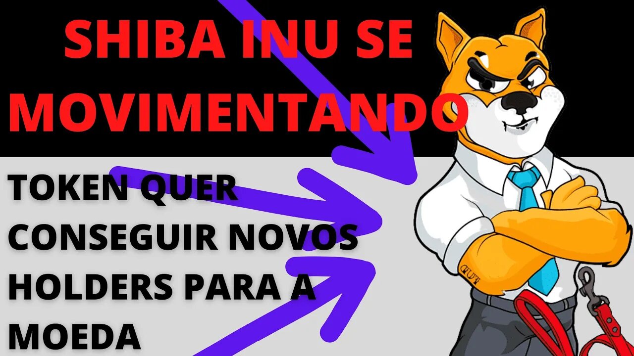 ShibaInu atrás de novos Investidores - 87