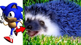 TODOS os MEMES do SONIC no Sonic Before the Sequel