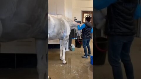 New Farlight 84 Syfer شخصية اصبحت خارقة