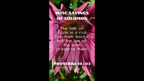 PROVERBS 14:3 | Wise Sayings of Solomon