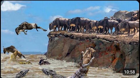 Incredible_ The Wildebeest_s Dangerous Migration Journey Thr