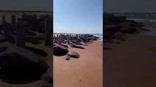 An old dock at the end of the beach