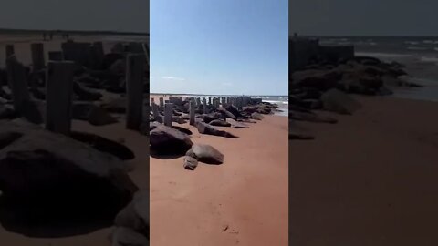 An old dock at the end of the beach