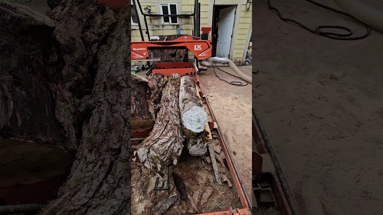 Milling Three Logs on the Sawmill #shorts #short #wickedwoodsnwllc #sawmill #wood #woodmizersawmill