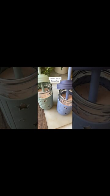 Animal based smoothies for my kids #ketocarnivore #carnivorediet #animalbased #smoothierecipes #keto