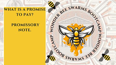 WHAT IS A PROMISE TO PAY? PROMISSORY NOTE.