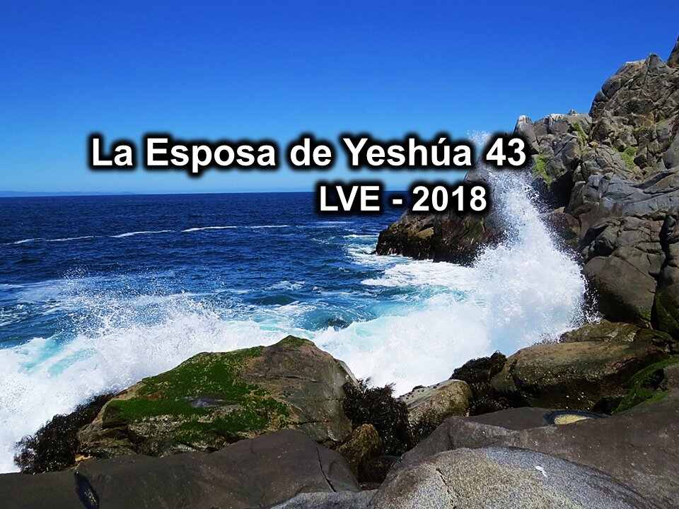 La Esposa de Yeshúa 43 - YHWH Ekjad 22 - La Nueva Medicina 4