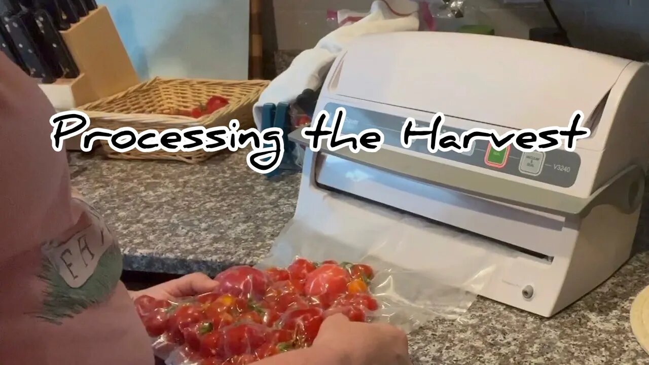 How to Process Vegetables from the Garden with a#hedgehogshomestead