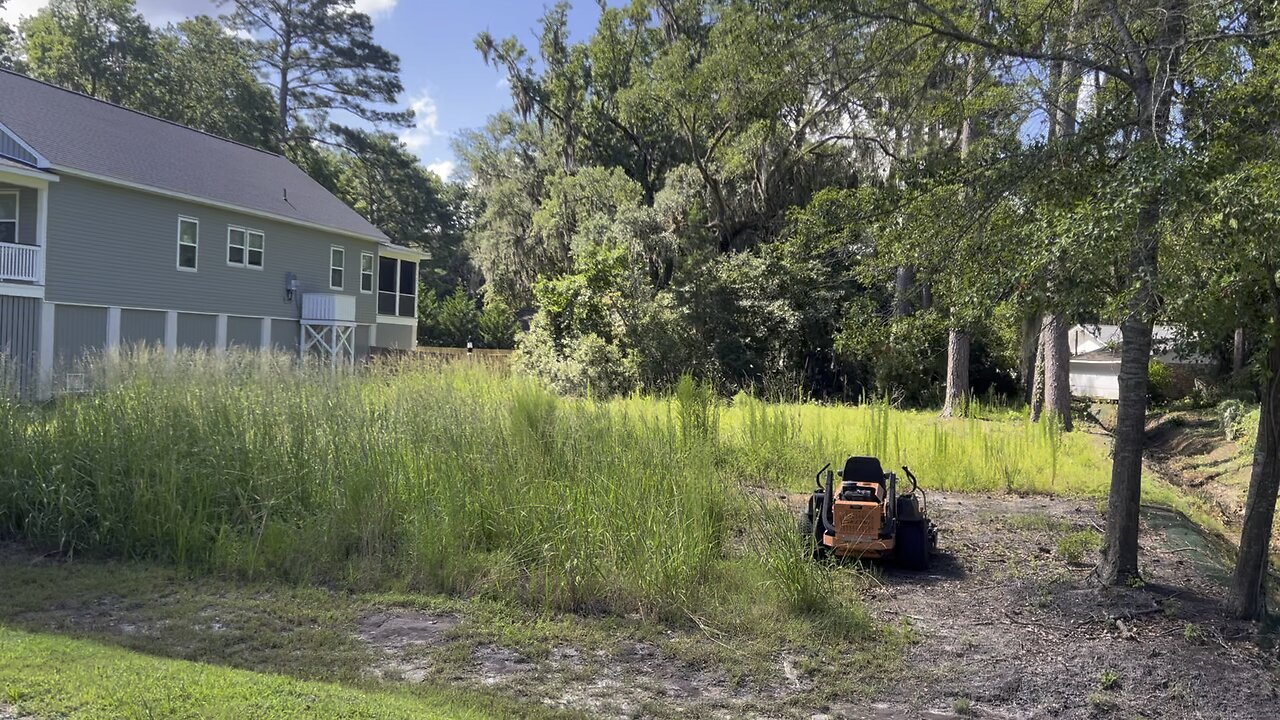 Empty, overgrown lot humbling