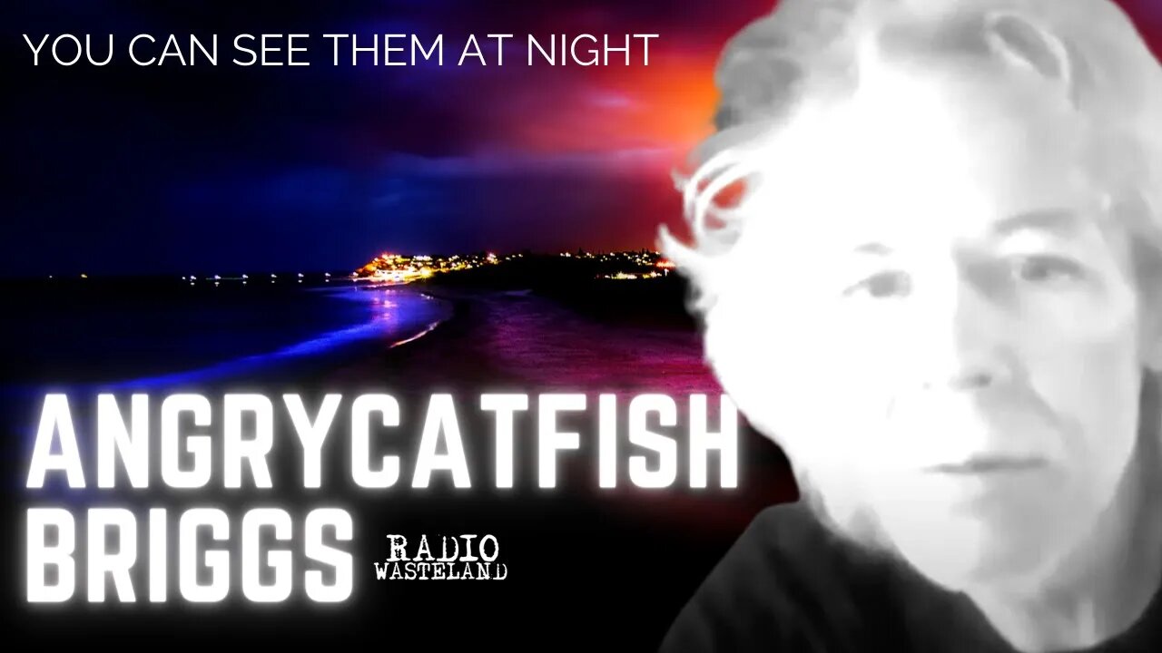 YOU CAN SEE THEM AT NIGHT | Angry Catfish Briggs