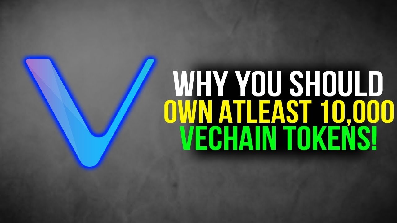 Why You Should Own At Least 10,000 VeChain Tokens? - VET VeChain Cryptocurrency