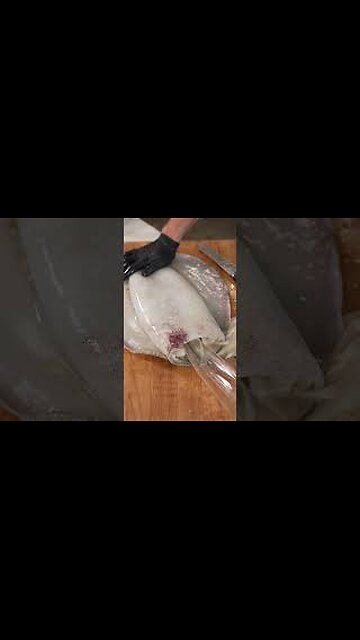 Cooking A Giant Squid
