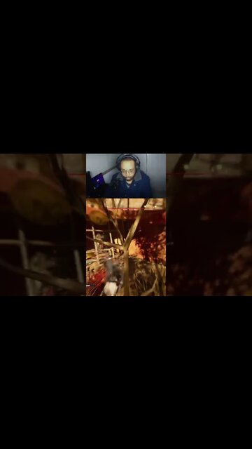 UMA FLECHADA NO PINGULINHO | ASSASSIN'S CREED VALHALLA 5 #Shorts #Assassin'sCreedValhalla