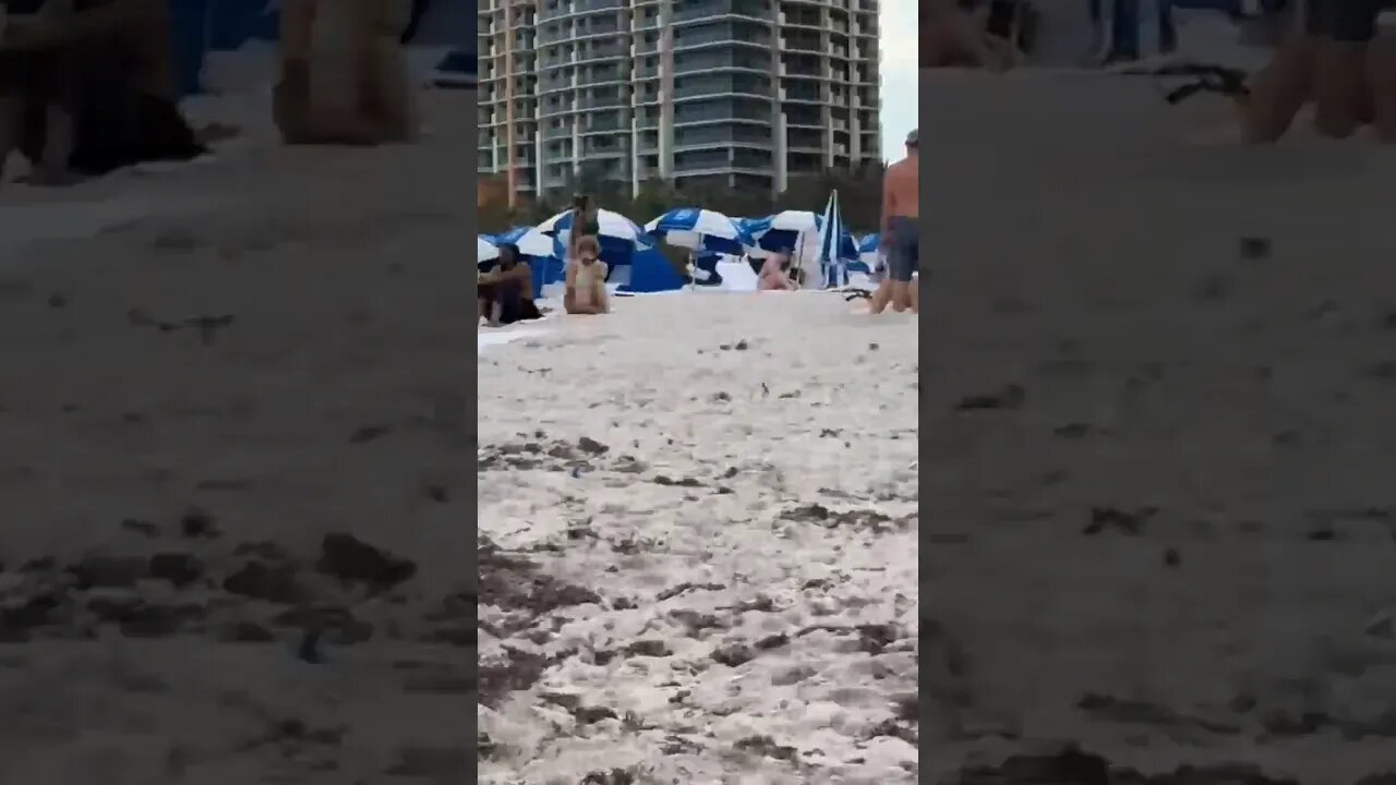 #southbeachmiami #miamibeach #miamibeachwalk #comedy #crickfun #shortvideos #funny #viral