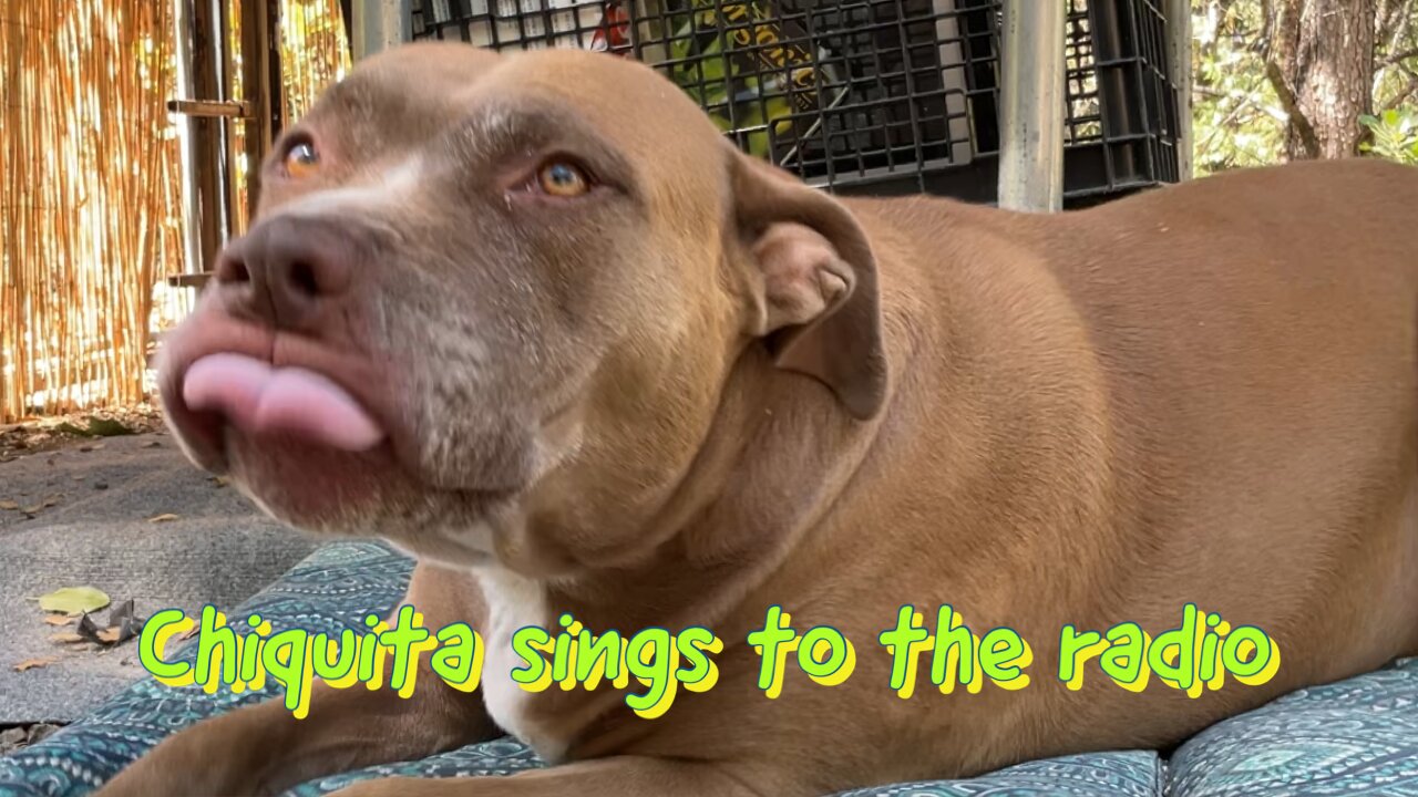 Chiquita sings
